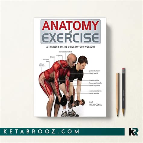ktab anatomy  exercise  trainers  guide   workout