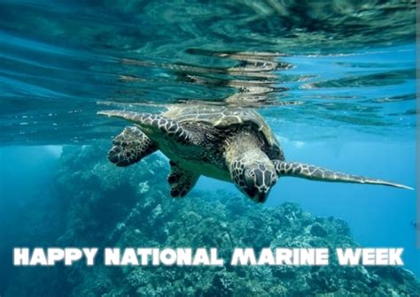 National Marine Week Template Postermywall