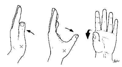 Saddle Joints In The Thumb