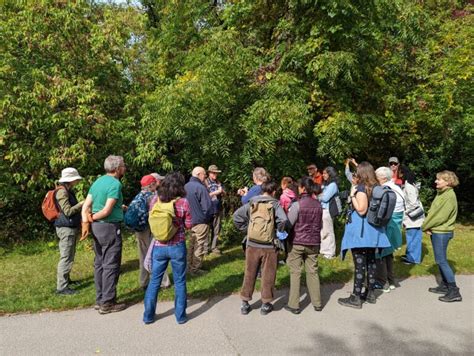 Login Toronto Nature Stewards