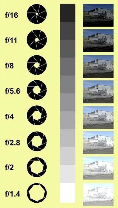 Best Dslr Camera Comparison Chart Artofit