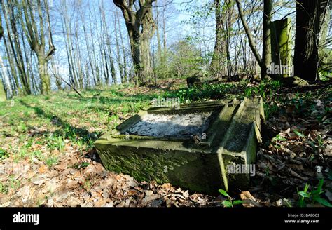 Abandoned Cemetery Castolovice Ceska Lipa Czech Republic The