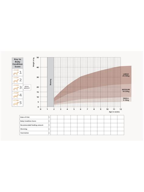 2025 Puppy Growth Chart - Fillable, Printable PDF & Forms | Handypdf