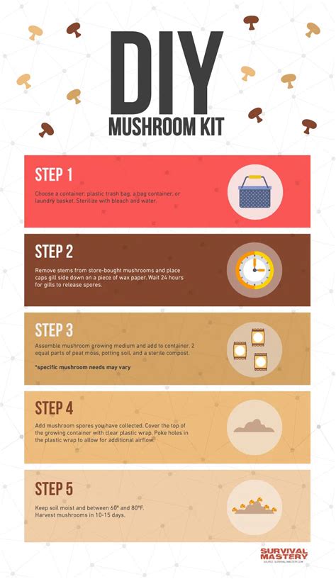 How To Grow Shrooms A Comprehensive Guide For Beginners