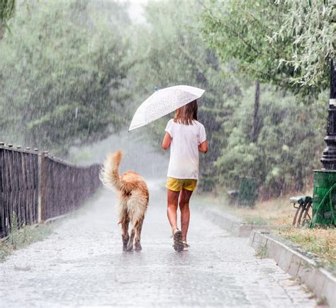 Girl with golden retriever dog in rainy day | Premium Photo