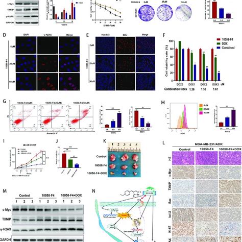 TXNIP Decreased Doxorubicin Induced Chemotherapy Resistance In TNBC A