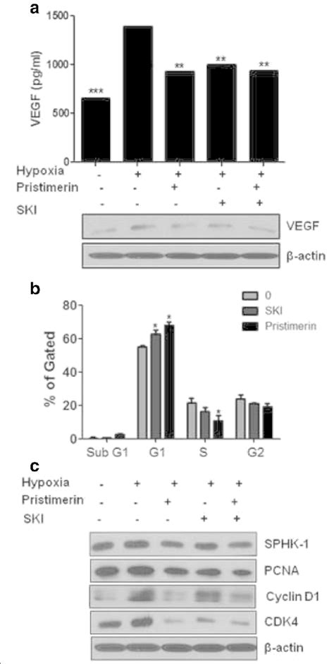 Pristimerin Inhibits Cell Proliferation And Vegf Production Via Sphk