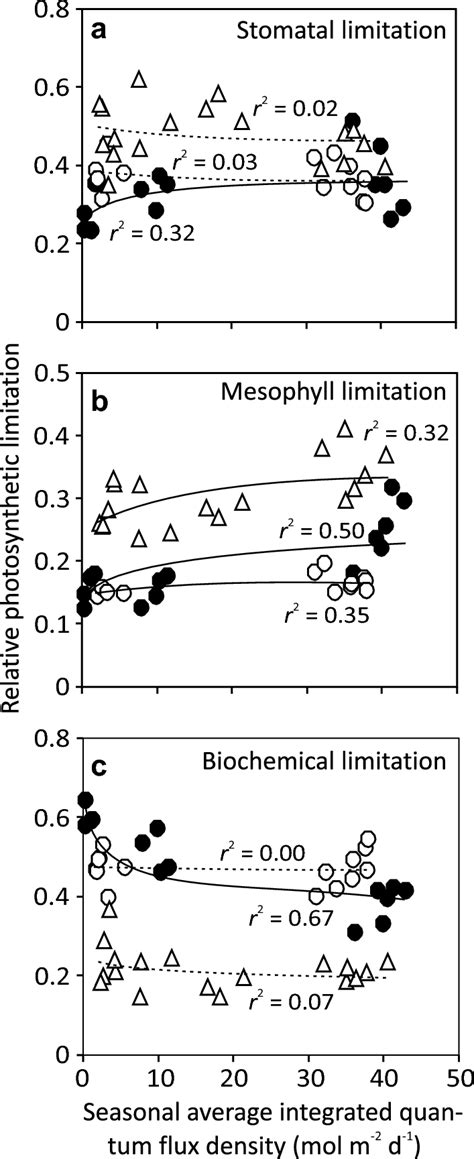 Within Canopy Variation In Relative Photosynthetic Limitations Due To