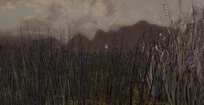 The Dead Marshes - Lotro-Wiki.com