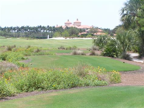 Tiburon Golf Club Gold Course Ritz Carlton Golf Resort Naples