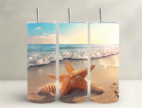 Seashells Oz Skinny Tumbler Graphic By Frangipani Store Creative