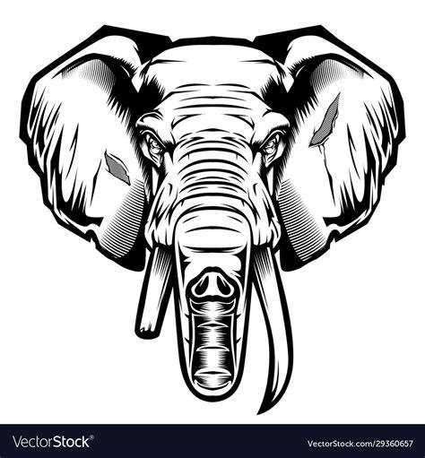 Head Elephant Drawing Black Amp White Royalty Free Vector