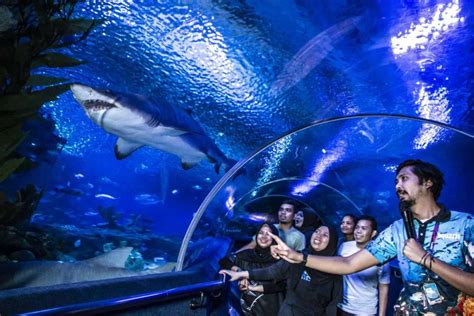 public aquaria klcc