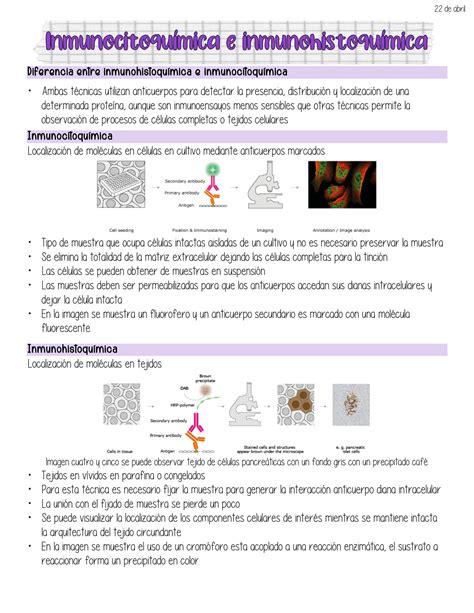 Solution S Inmunocitoqu Mica E Inmunohistoqu Mica Studypool