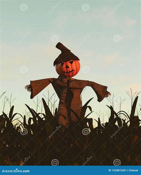 Scarecrow Pumpkin in Corn Field Stock Illustration - Illustration of ...