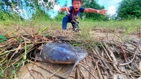 Unbelievable Fishing Catch A Lots Of Fish In Field Near The Road Catch