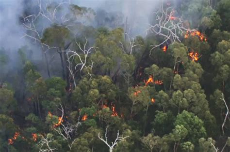 Victoria Bushfires Grampians Blaze Destroys Pomonal Homes Emergency