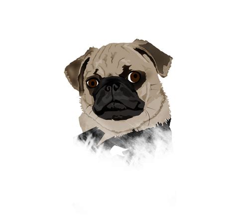 Pug Vector by CWTMason on DeviantArt