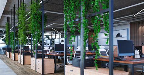 The Benefits Of Biophilic Design In Modern Office Spaces MPL