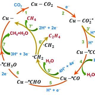 Electrochemical Reaction Pathways Of CO 2 Reduction In Aqueous