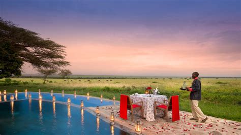 African Safari For A Romantic Getaway Best Travel Destinations For Couples Tierone Travel