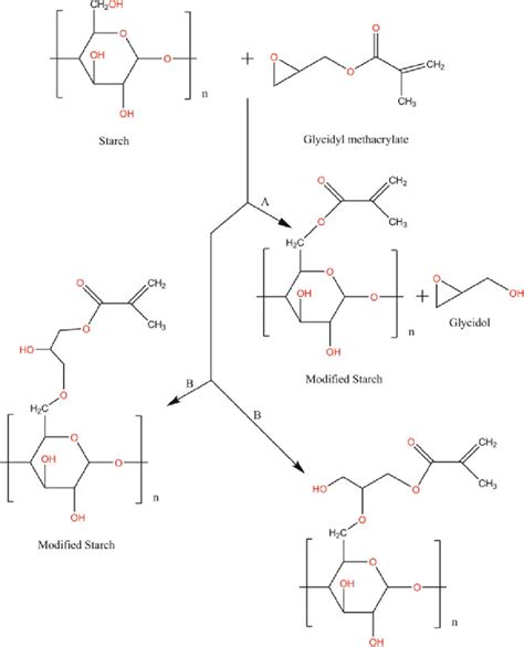 Reaction Mechanism Of Starch With Glycidyl Methacrylate A Via