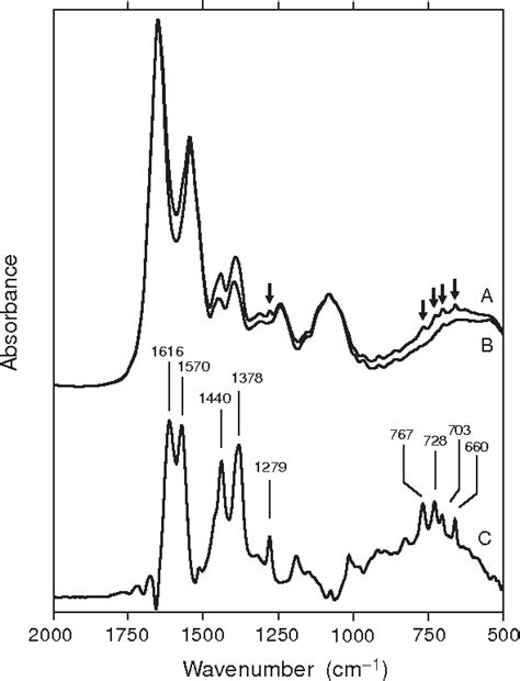 Figure 1 from INFRARED SPECTROSCOPY IN MICROBIOLOGY 1 Infrared Spectroscopy in Microbiology ...