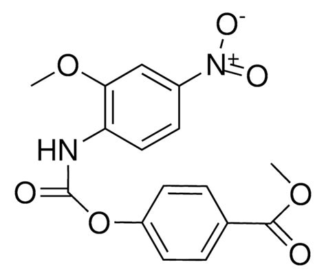 Methoxycarbonyl Phenyl N Methoxy Nitrophenyl Carbamate