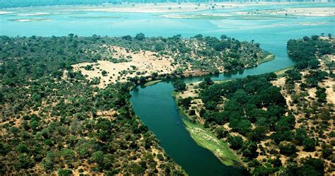 Lower Zambezi Zambia Safari Safari Information For Your Lower Zambezi