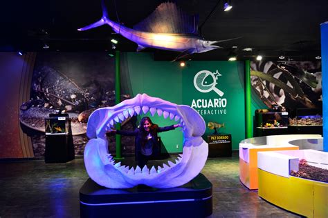 chilango - Toca criaturas marinas en este acuario en CDMX