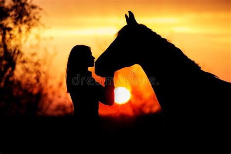 Silhouette of Girl and Horse Stock Image - Image of friendship, summer ...