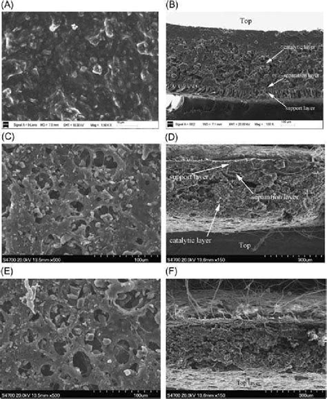 Top View And Crosssectional Sem Images Of Membranes Fabricated By