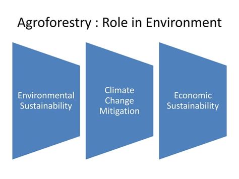 Agroforestry in India and Gujrat Model