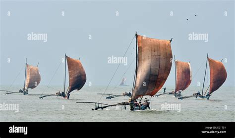 Traditional Sri Lankan Fishing Boats Under Sail Stock Photo Alamy