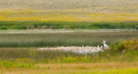 Crescent Lake National Wildlife Refuge