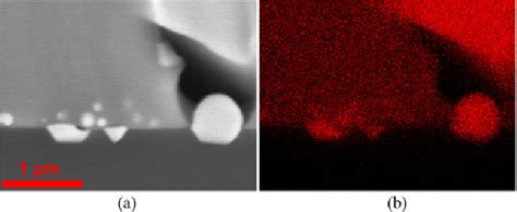 Figure 8 From Characterization Of Glass Frit In Conductive Paste For N Type Crystalline Silicon