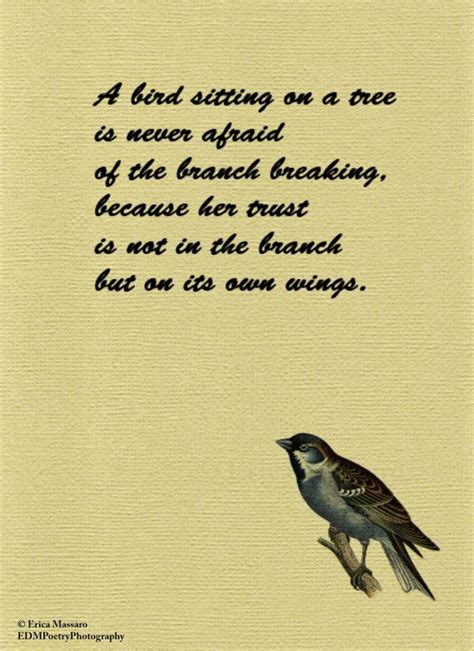 A Bird Sitting On A Tree Quote Inspirational Vintage Bird Illustrati