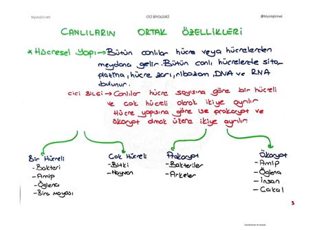 SOLUTION 9 Sinif Biyoloji Canlilarin Ortak Ozellikleri Konu Anlatimi