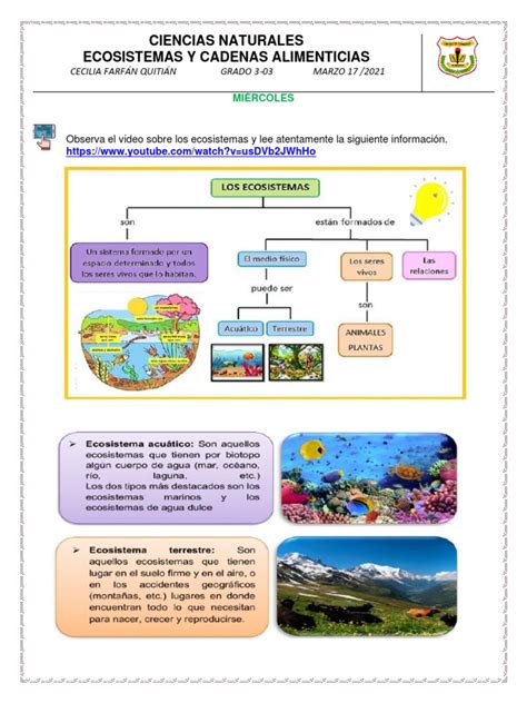 Ciencias Naturales Ecosistemas Y Cadenas Alimenticias Pdf