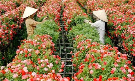 Sa Dec flower village - Mekong Delta | Travel Authentic Asia