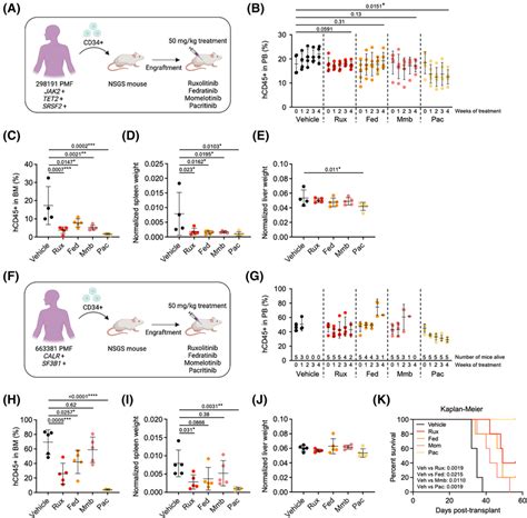 Efficacy Of Jak2 Inhibitors In Mf Pdx Models A Schematic Of The