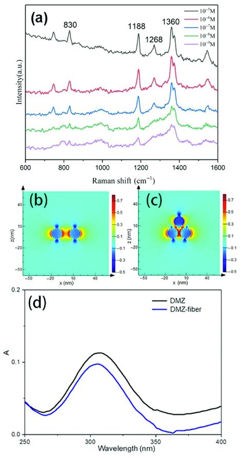 Raman Spectra Of DMZ With Different Concentrations A FDTD