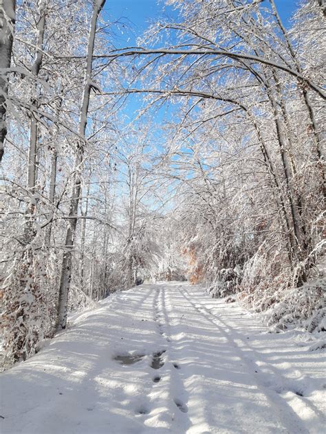 Tanta Neve In Veneto Paesaggi Incantati FOTO