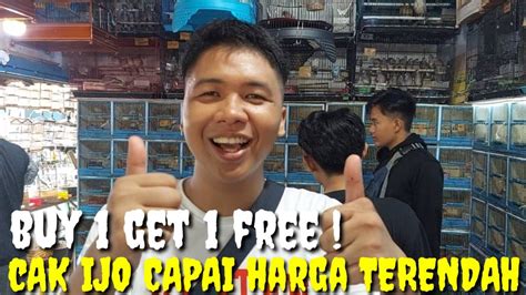 Promo Beli Burung Bonus Burung Dan Cucak Ijo Turun Harga Lagi Gile