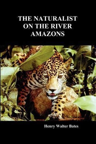 Henry Walter Bates The Naturalist On The River Amazons Paperback Uk