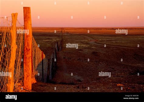 Dingo Fence at Sunset Australia Stock Photo - Alamy