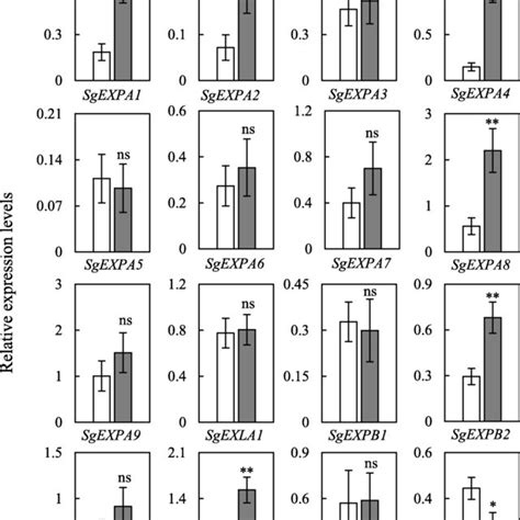 Expression Analysis Of Genes Encoding Expansin Proteins At Two P