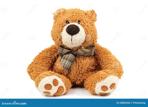 Teddy Bear Stock Image Image Of Brown Full White Bear 22805443