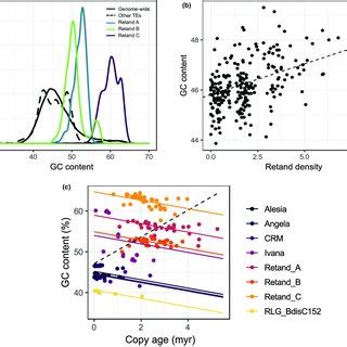 Phylogeny Of Long Terminal Repeat LTR Retrotransposons Based On