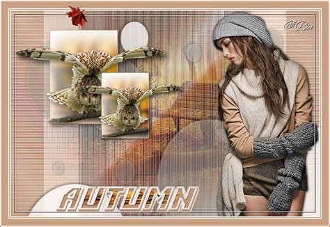 Gemaakt Door Andere Les Autumn Maantje Psp Design